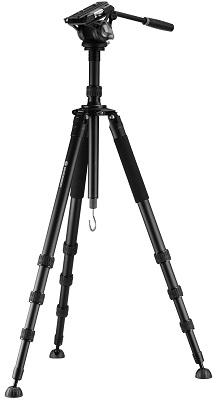 BX-10