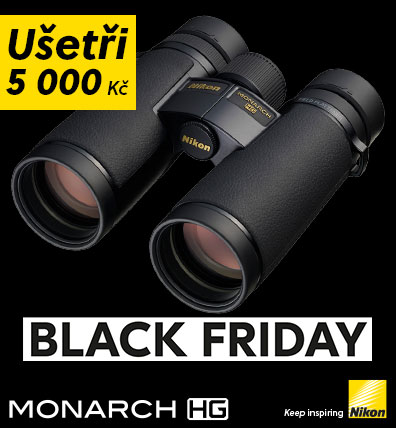 BLACK FRIDAY 2023 HG